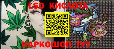 СК Нальчик